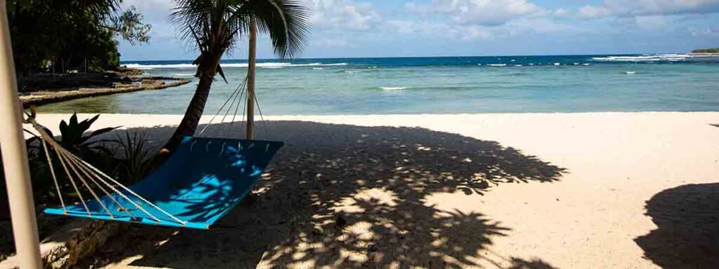 Blue hammock on a sandy beach with palm trees and ocean waves.
