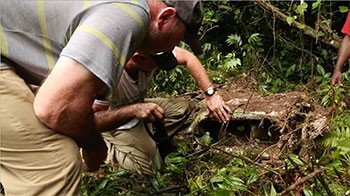Two men examining wreckage in a lush jungle environment
